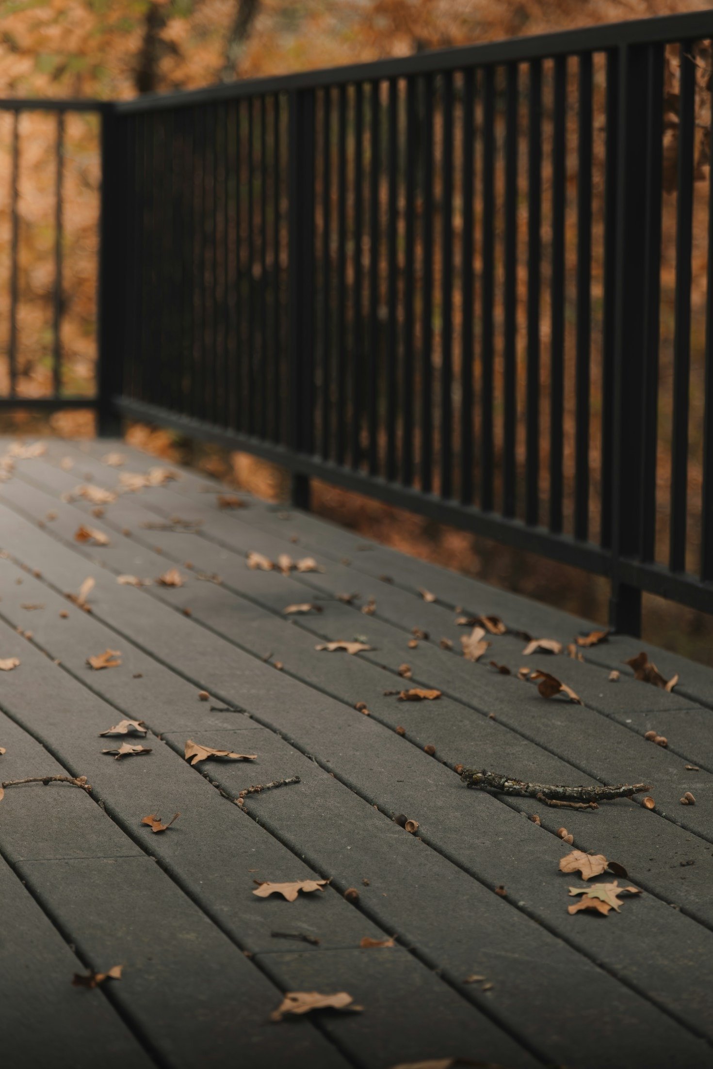 Top Trends in Deck Restoration/Renovation for 2025